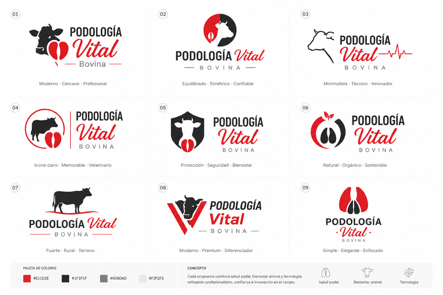 Sistema de identidad visual Podología Vital