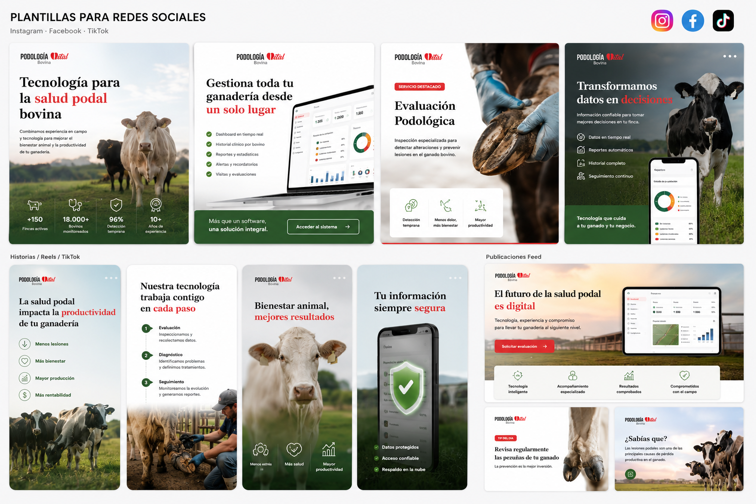 Contenido de redes sociales Podología Vital